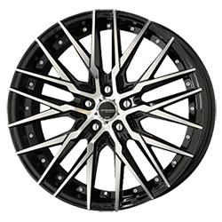 シュタイナーCVX