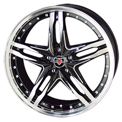 シュタイナー LSV