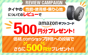 購入レビュー アマゾンギフト500円分プレゼント