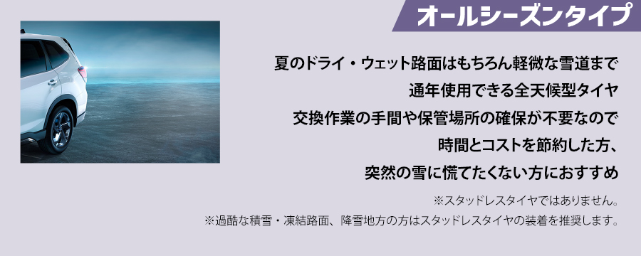 オールシーズンタイプ