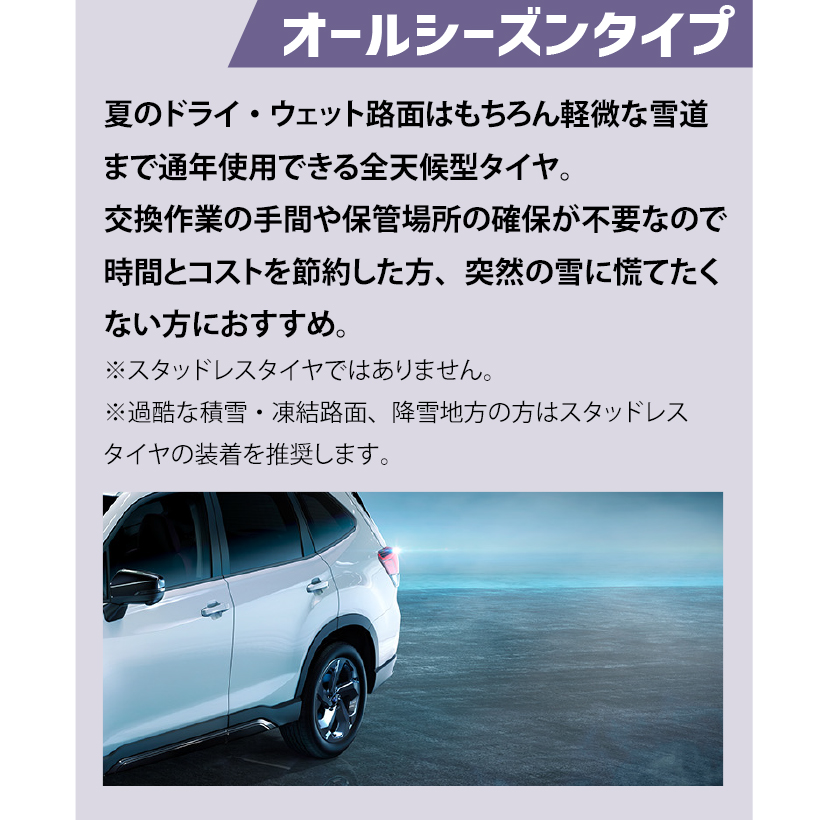 オールシーズンタイプ