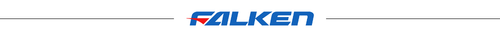 FALKEN