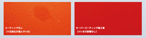 紫外線から塗装を守る