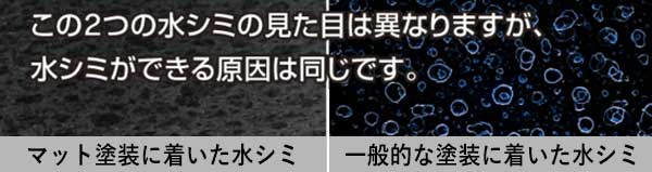 フレッシュキーパー・別次元のキレイさのイメージ図